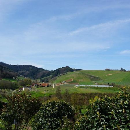 Ferienwohnung Anna Durbach Dış mekan fotoğraf